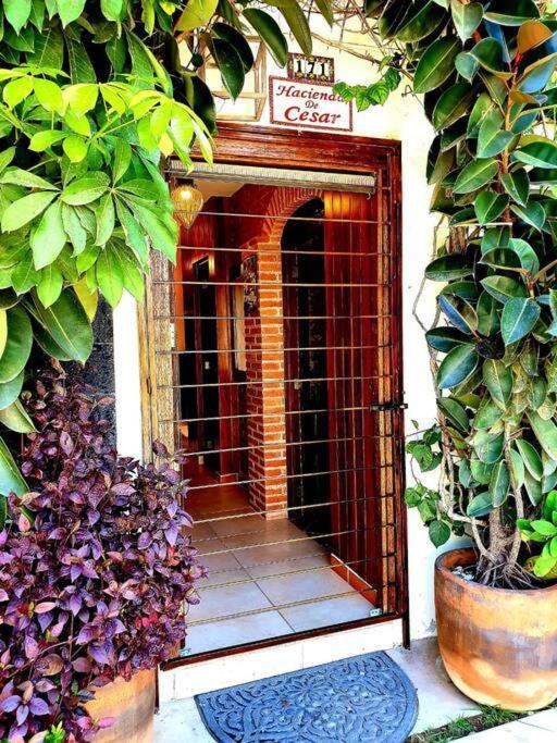 Hacienda En Primavera, Descanso Familiar Total Puerto Vallarta Exterior photo